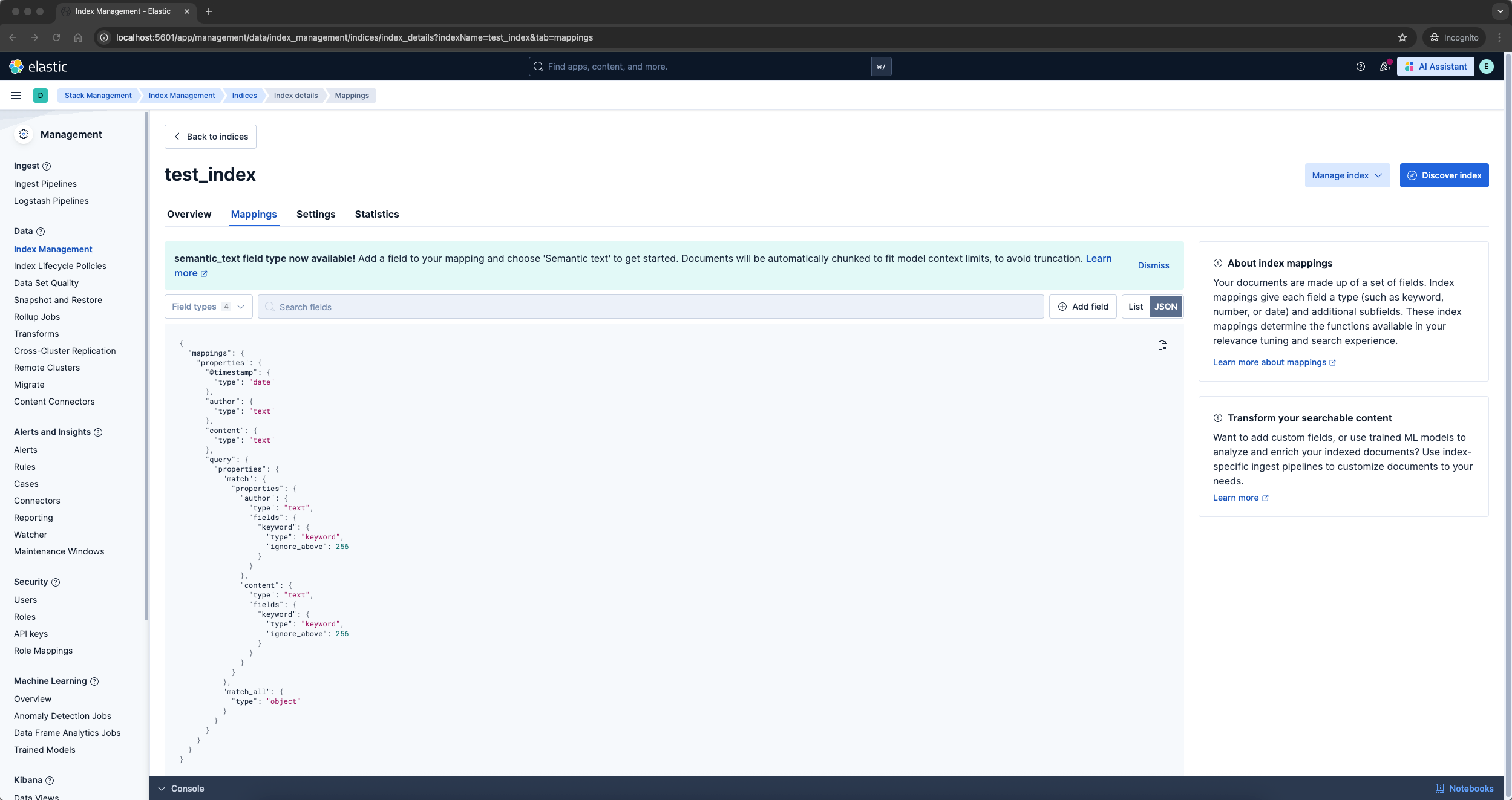 local-instance-elastic-mappings